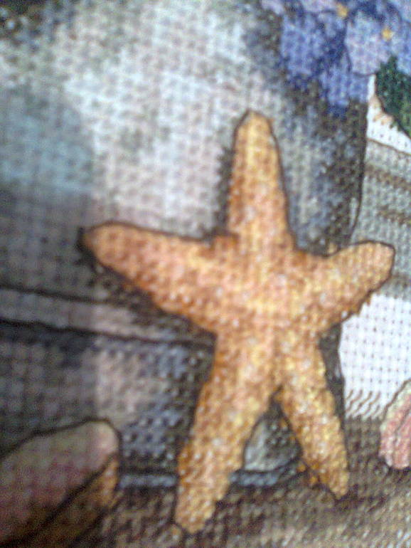 Гортензии и ракушки