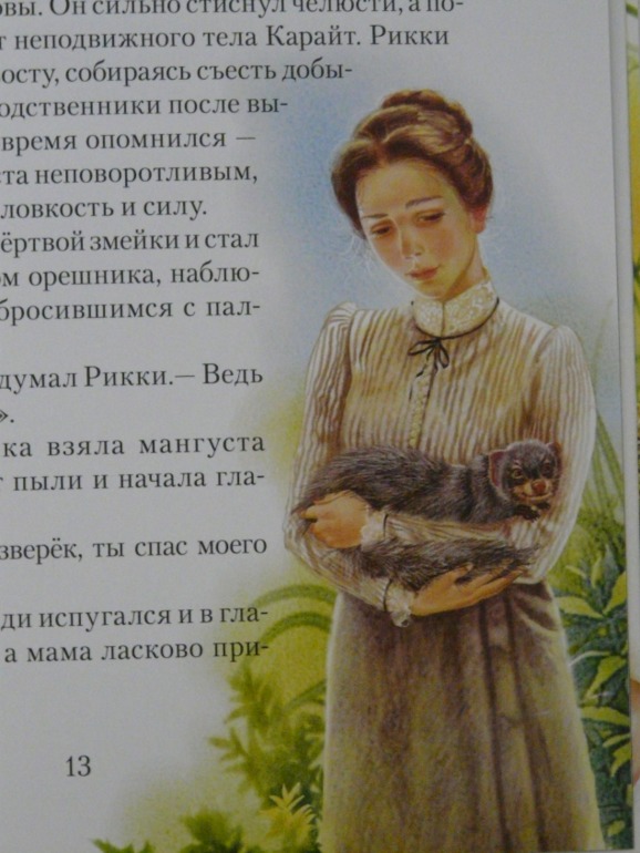 Рикки-Тикки-Тави и другие сказки.