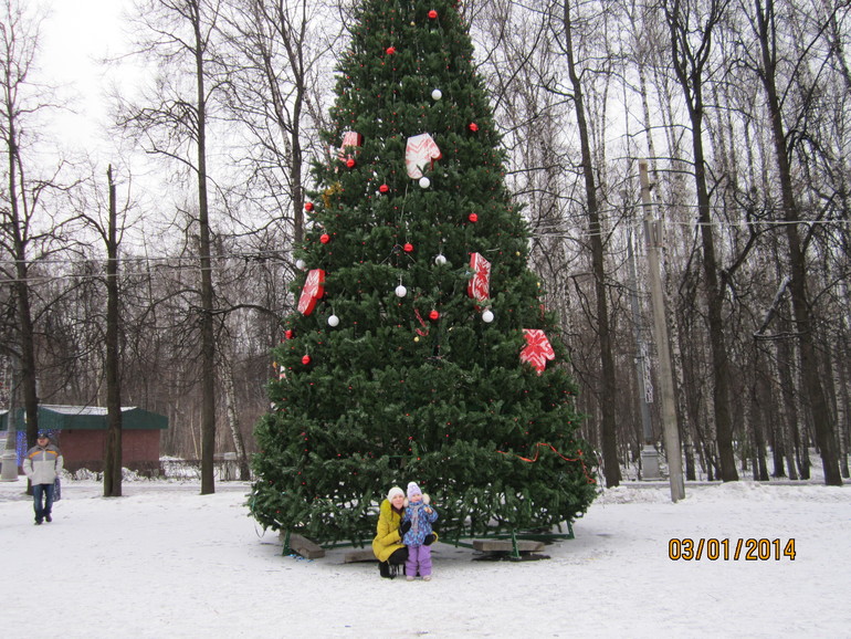 Новый год в Измайловском парке.