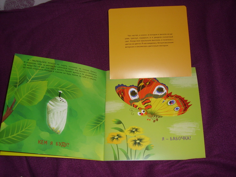 Отчет о лотереи №24