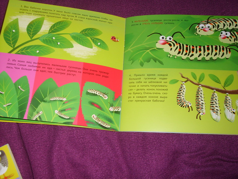 Отчет о лотереи №24