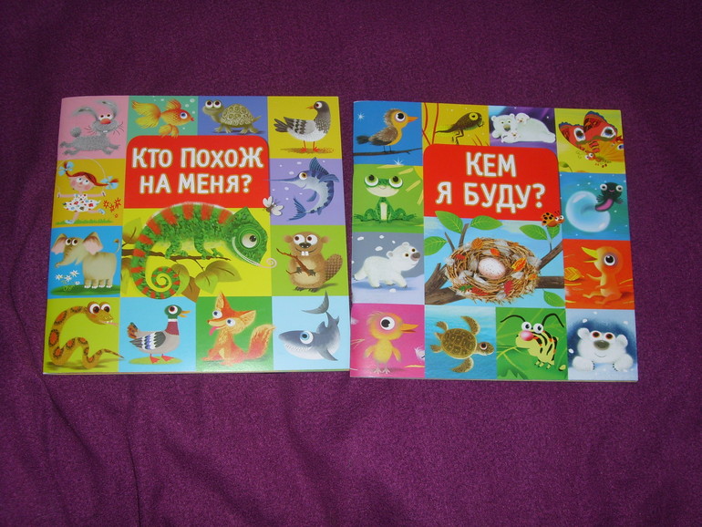 Отчет о лотереи №24