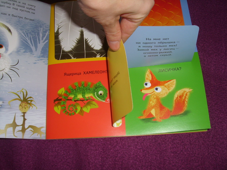 Отчет о лотереи №24