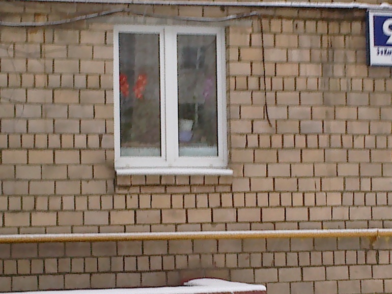 Ярко оранжевая орхидея. Это реальность или тоже окрашеная?