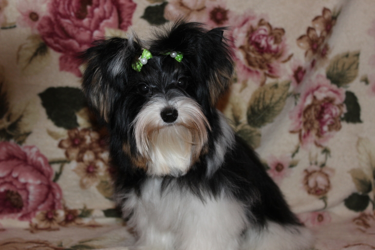 Ну вот мы и подросли) 6.5 мес.