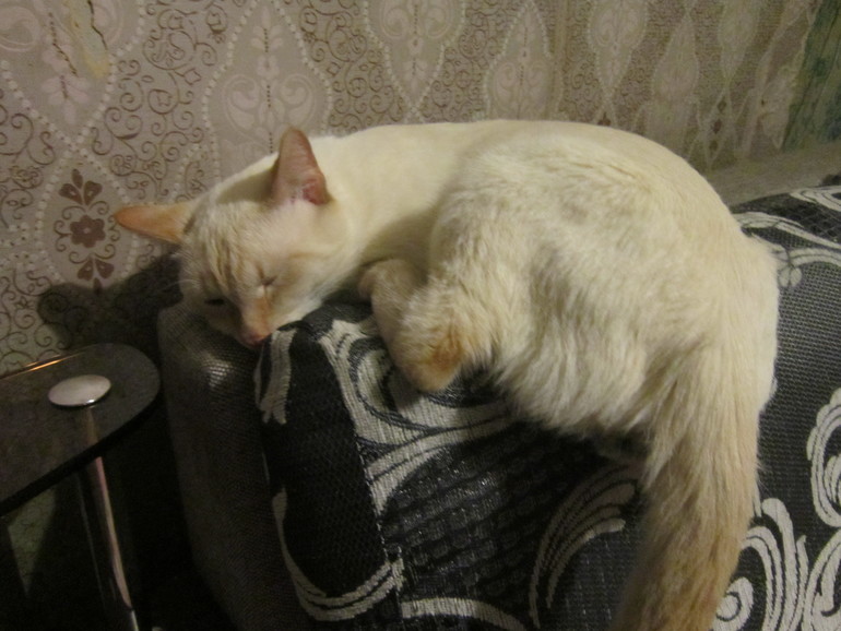 Наш выбражалка. Часть вторая.