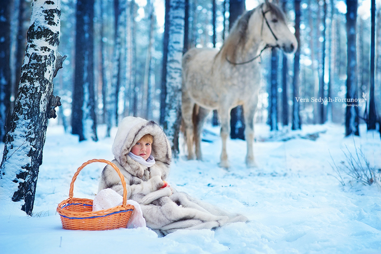 Зимняя сказка