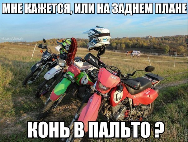 Минутка улыбки)5 шт.