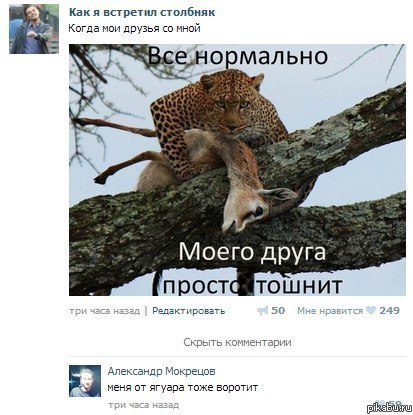 Минутка улыбки)5 шт.