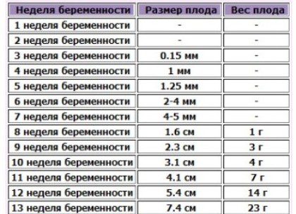 Размер эмбриона на 6 неделе беременности