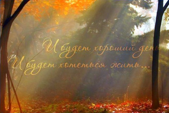 Желаю всем!