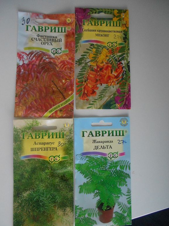 Накупила семян комнатных многолетников ...