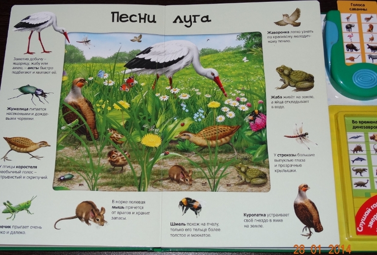 Замечательная книга по очень низкой цене!
