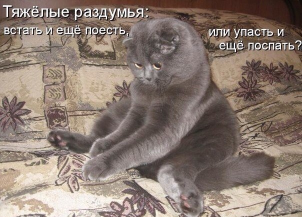 Каждый раз одно и тоже..