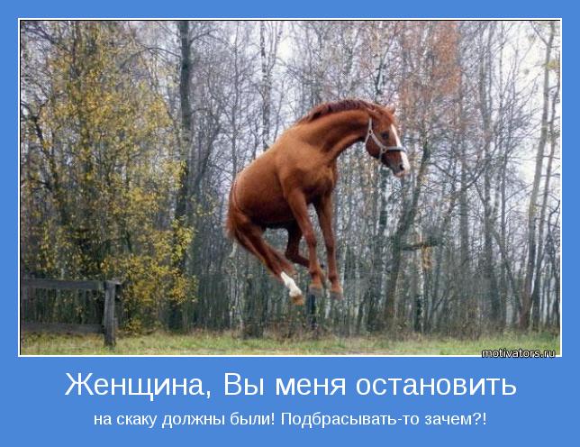 Мне все по плечу и даже больше!