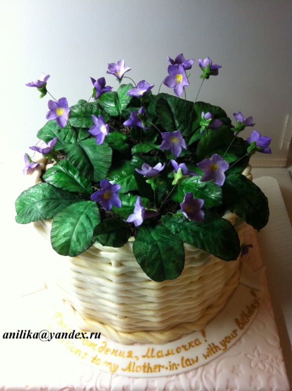 Мои лесные фиалки