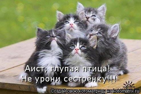 Еще картиночка для нас )))