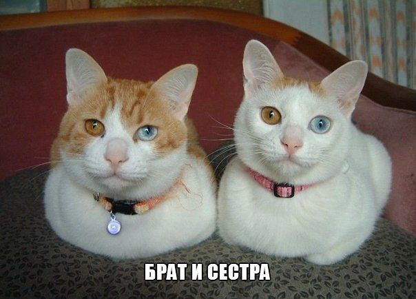Время улыбнуться:)