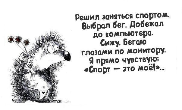 спортивное