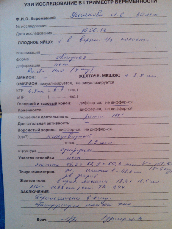 Наше УЗИ