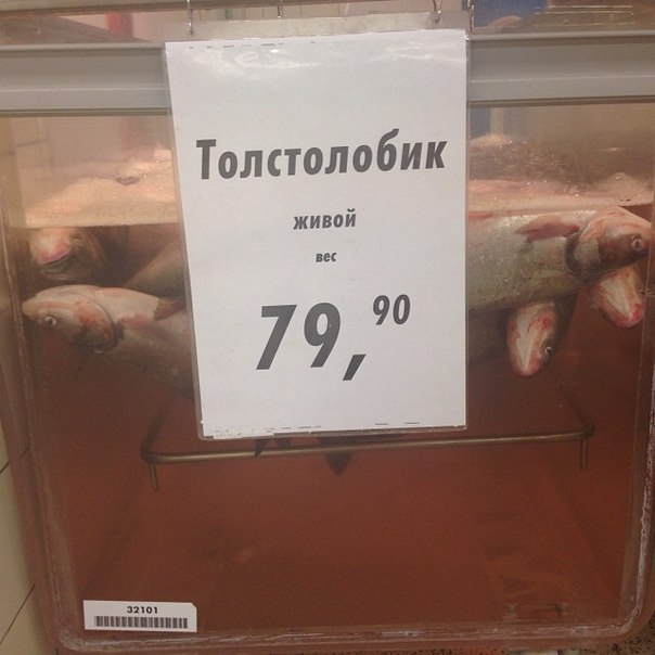 И так бывает.. Толстолобик нынче, живее всех живых..