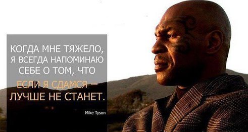 День 12