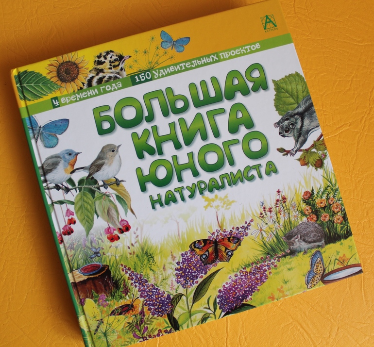 Алисина книжная полка 04/14