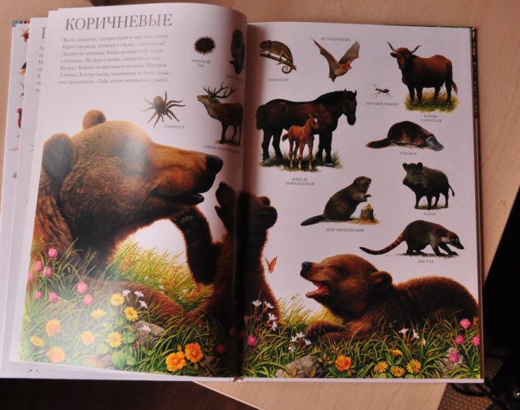 Еще книги.