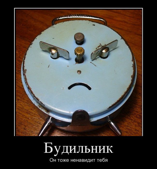 Картинки (много)