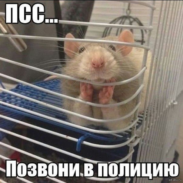 Узник :))