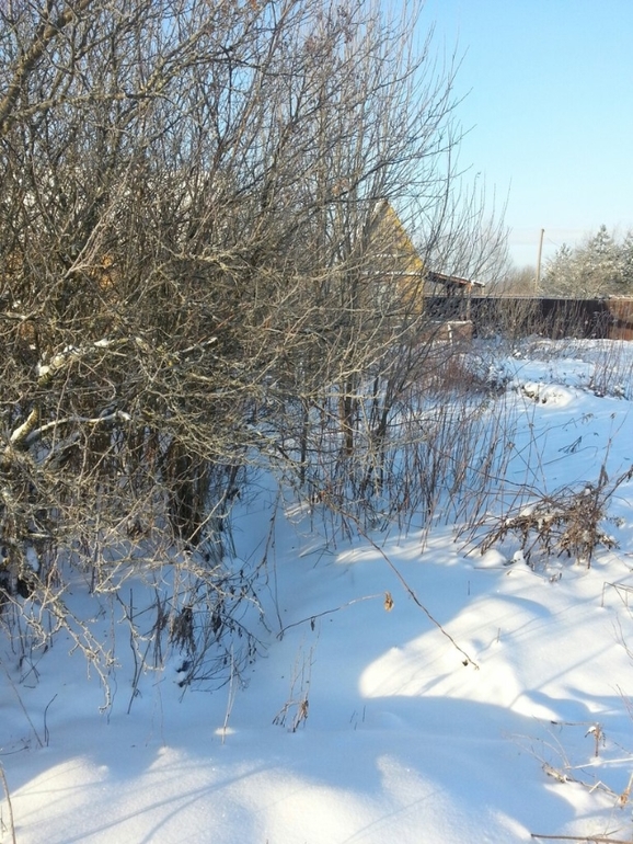 Наша стройка. Новости января. +фото