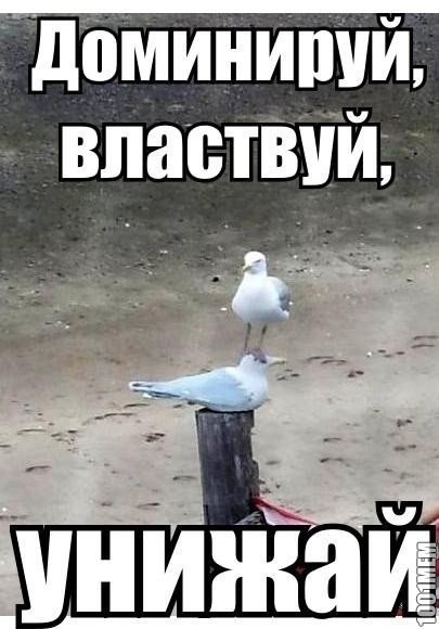Смехотерапия