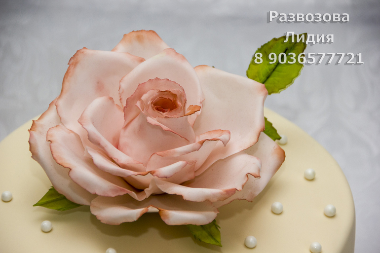 Первая самостоятельная роза.