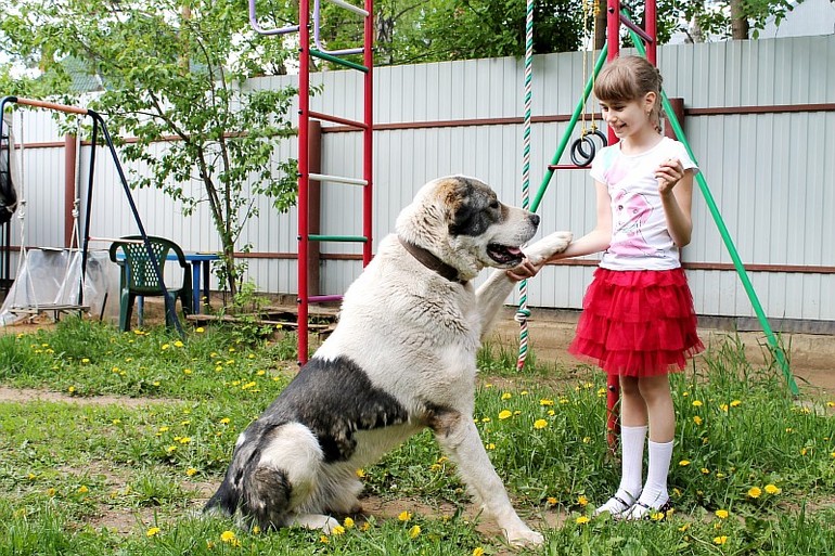 Доча и алабайчик))