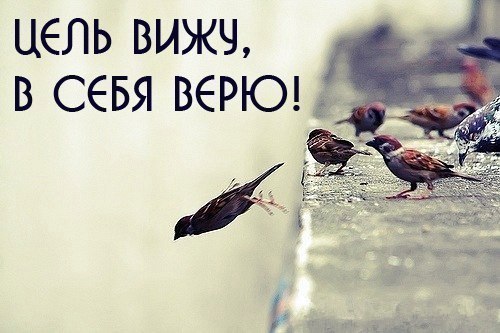 5 БЕСЦЕННЫХ СОВЕТОВ