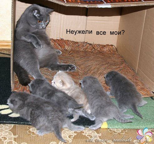 Всем хорошего настроения))