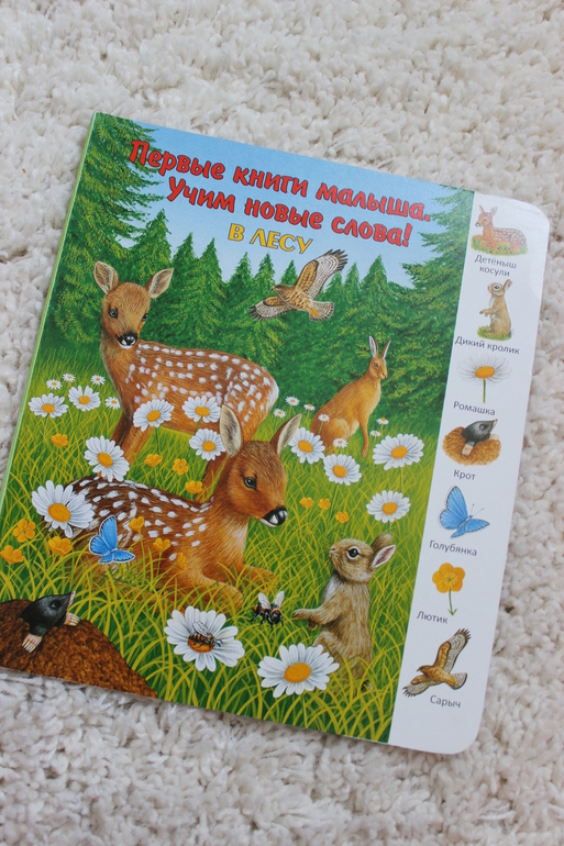 Наши книжки-гляделки