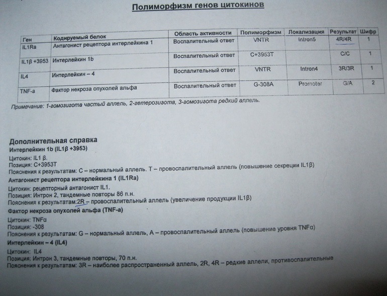 Продолжаю разбираться с иммунитетом или