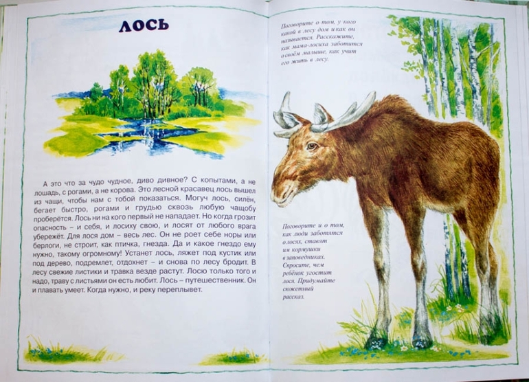 Книги-мечты для развития речи