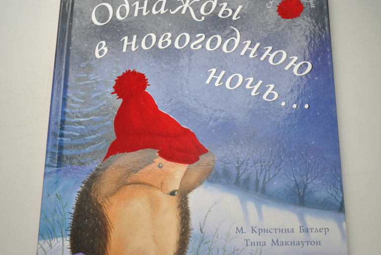 Однажды в новогоднюю ночь