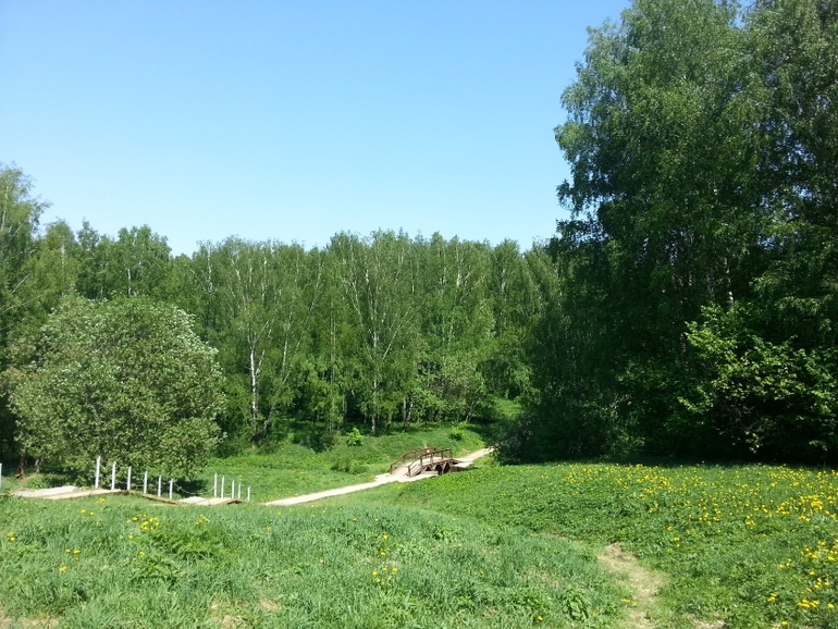 Прогулки