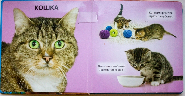 Наши книги до года