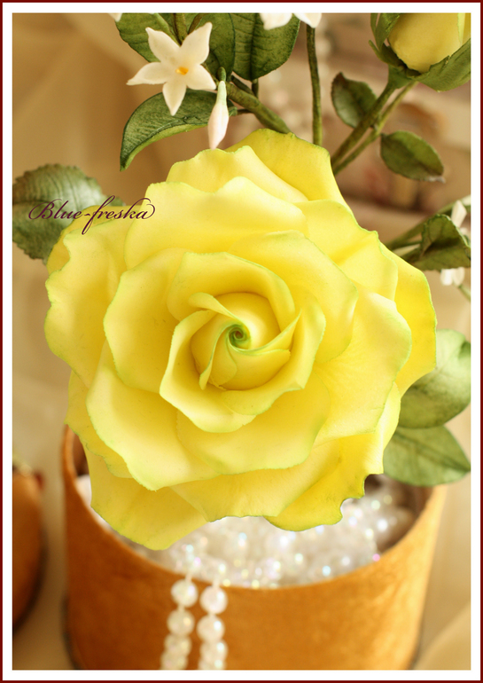 10dcfa0cc26d0d8fee0687f453d25c41.jpg
