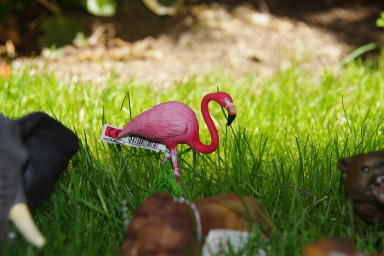 Zoo
