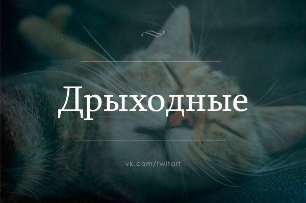 Ураааа,скоро они!!!!!!!!
