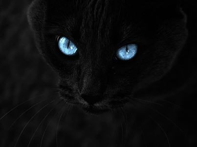 Вы притягиваете то, о чем думаете.