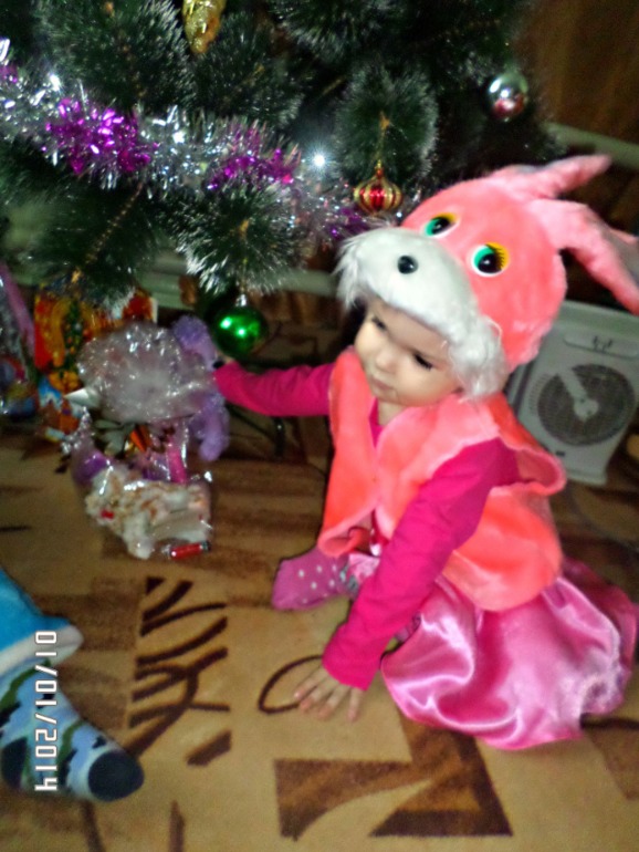 Новый 2014 год!!!