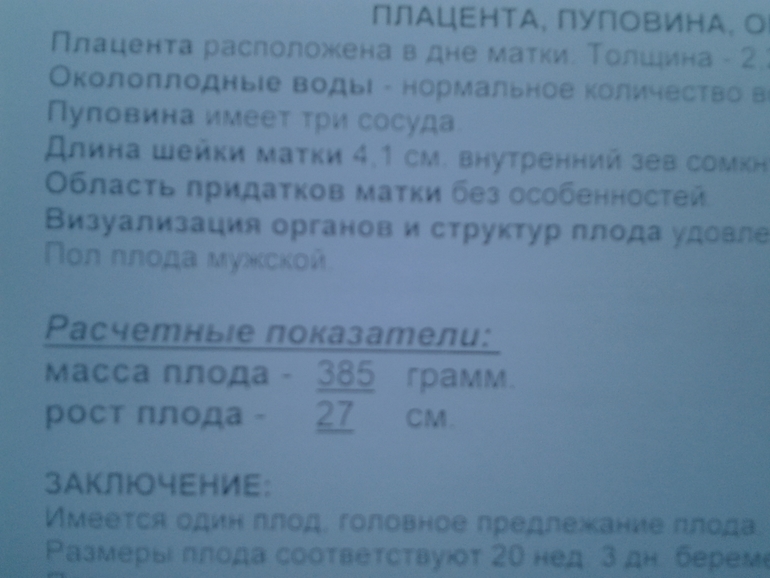 ждем СЫНОЧКА!!!