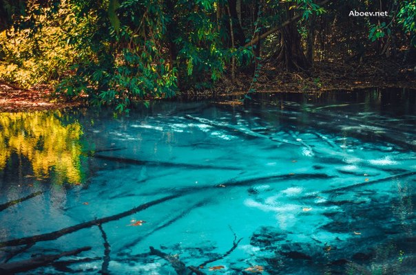 Мой 10 958 день — водяные пещеры, изумрудные озера и горячий водопад