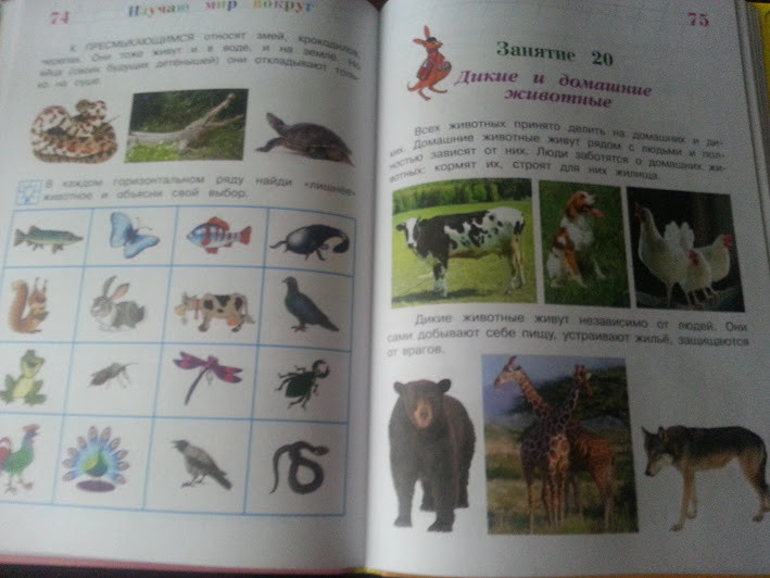 После ночи в Лабиринте